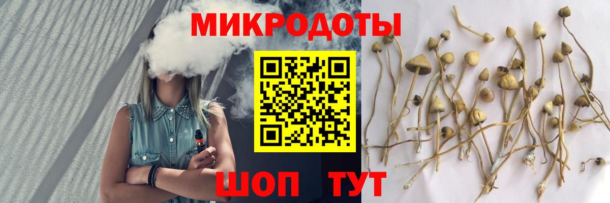 Галлюциногенные грибы мицелий Кулебаки